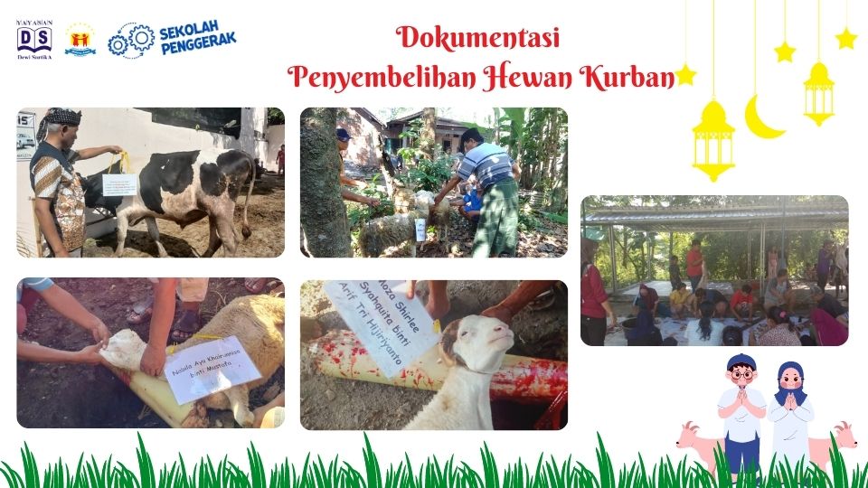 dokumentasi penyembelihan hewan kurban sekolah islam bintang juara