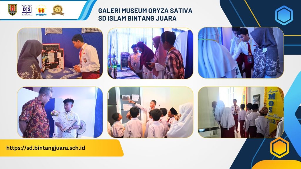 galeri museum oryza sativa